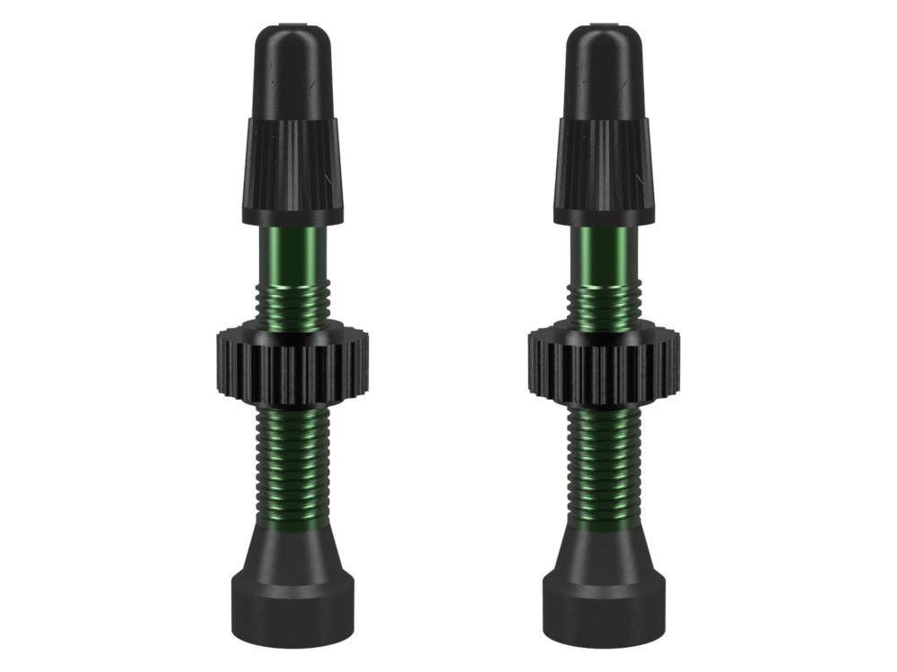 WTB TCS Valve Presta Aluminum green