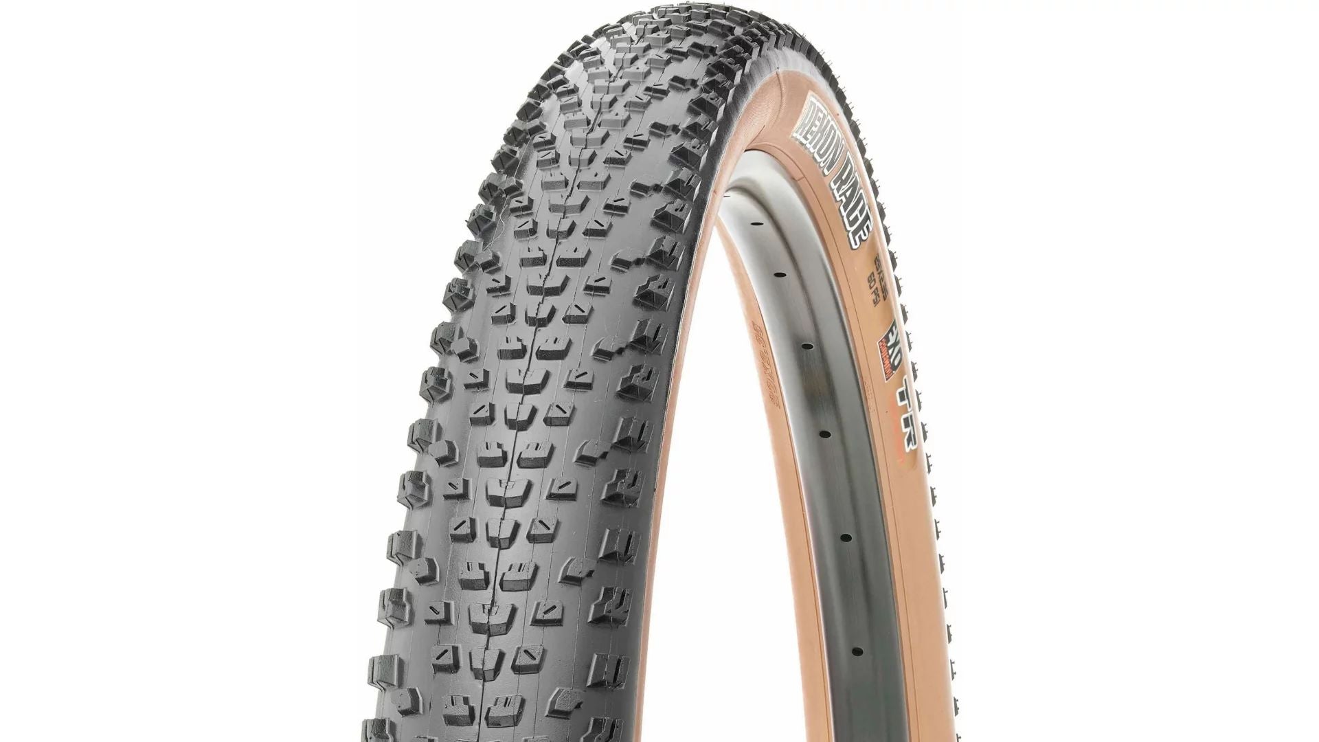 Maxxis DualCompound TR EXO faltbar s/b 57-622