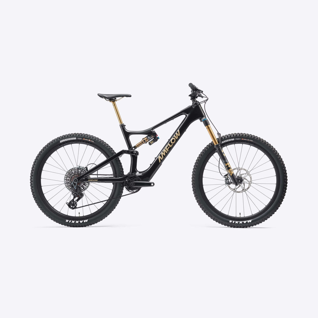 Amflow PL Carbon Pro 800 Wh cosmic black 2025