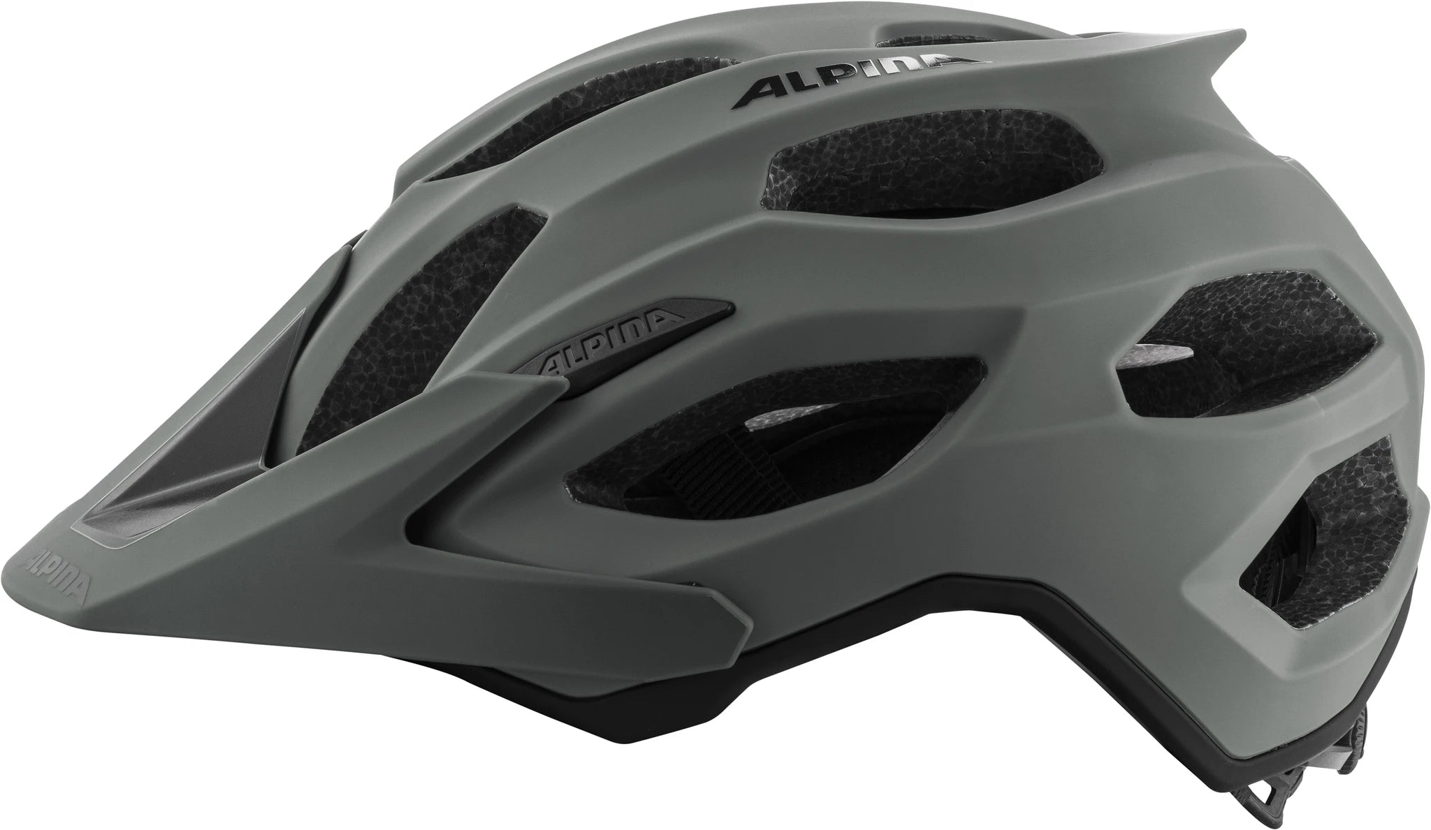 Alpina Carapace 2.0